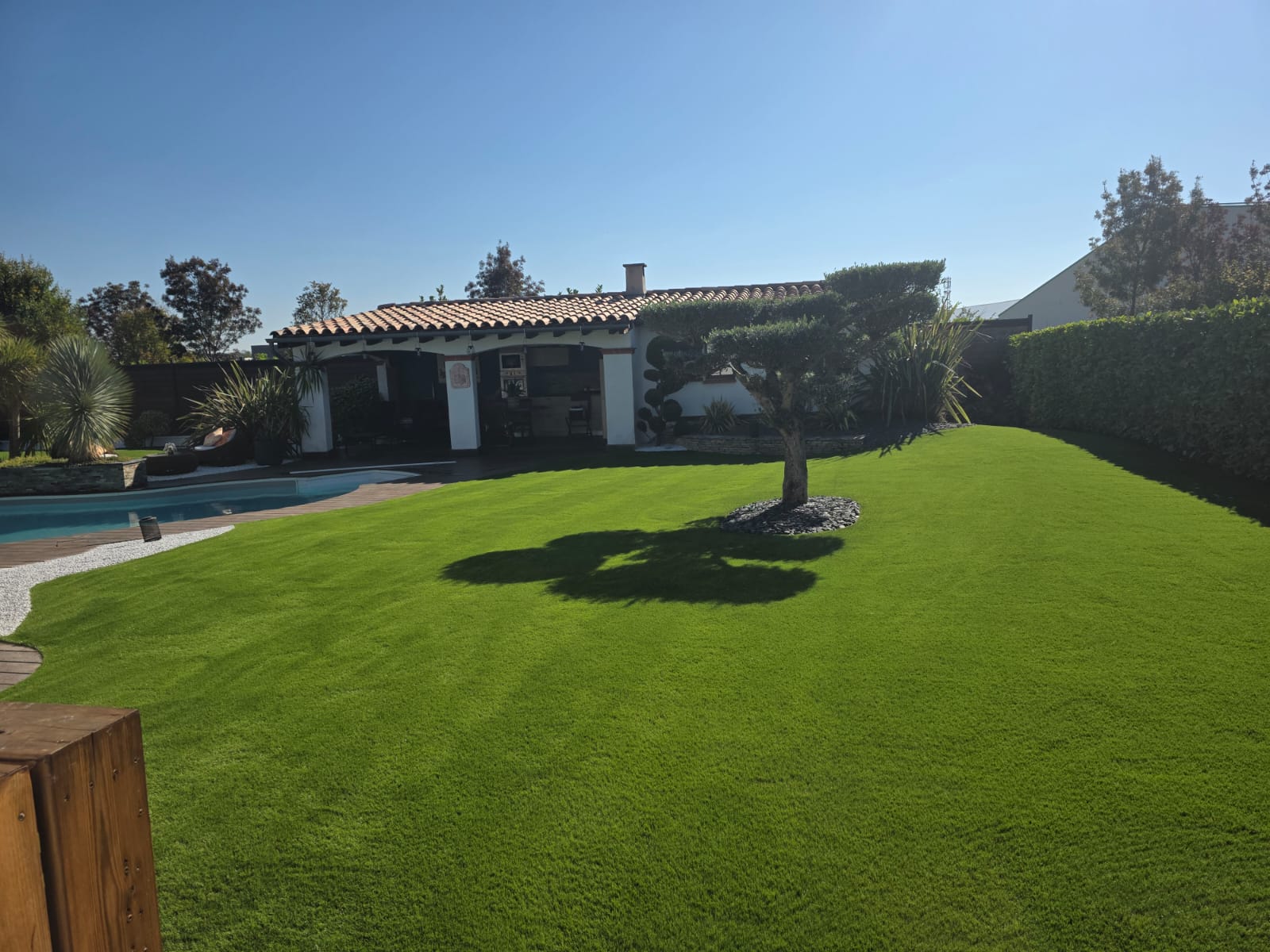 Comparatif jardin terreux contre pelouse synthétique verte